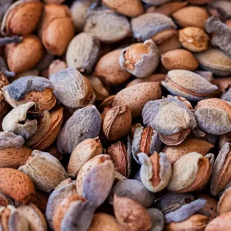 شقة Black And White Chill Out Komiža