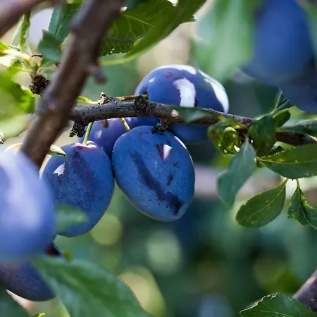 Black And White Chill Out *